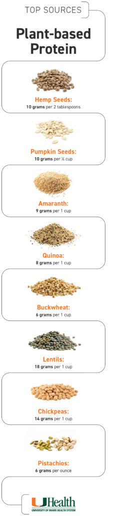 Plant protein infographic