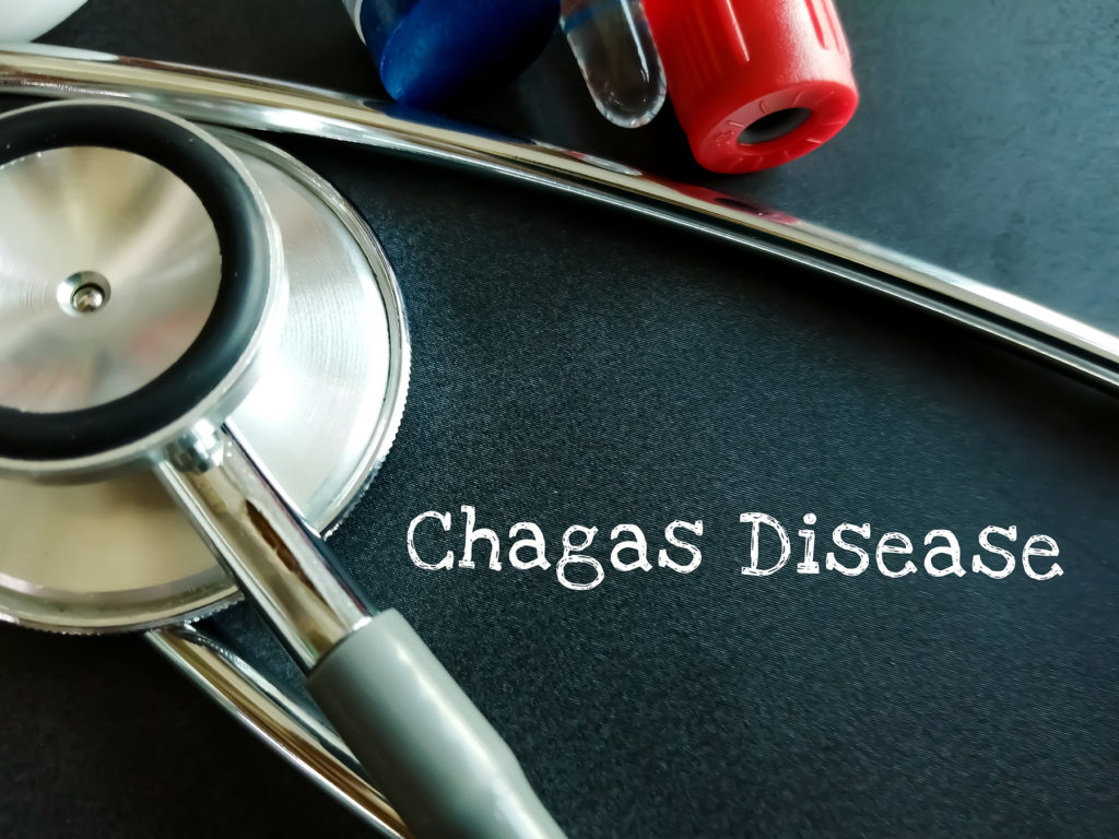 Words Chagas Disease. Medical concept.