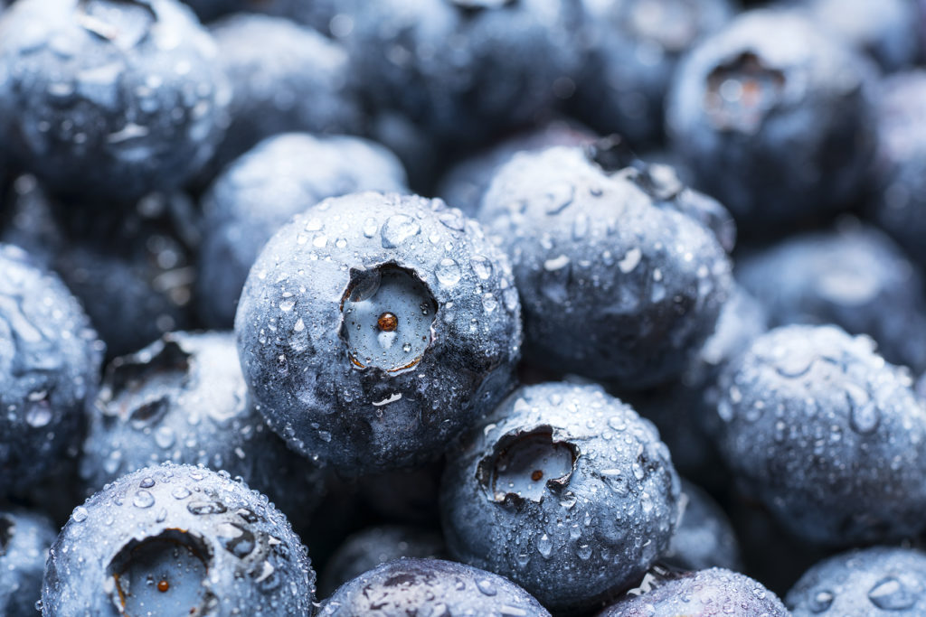 close up blueberries