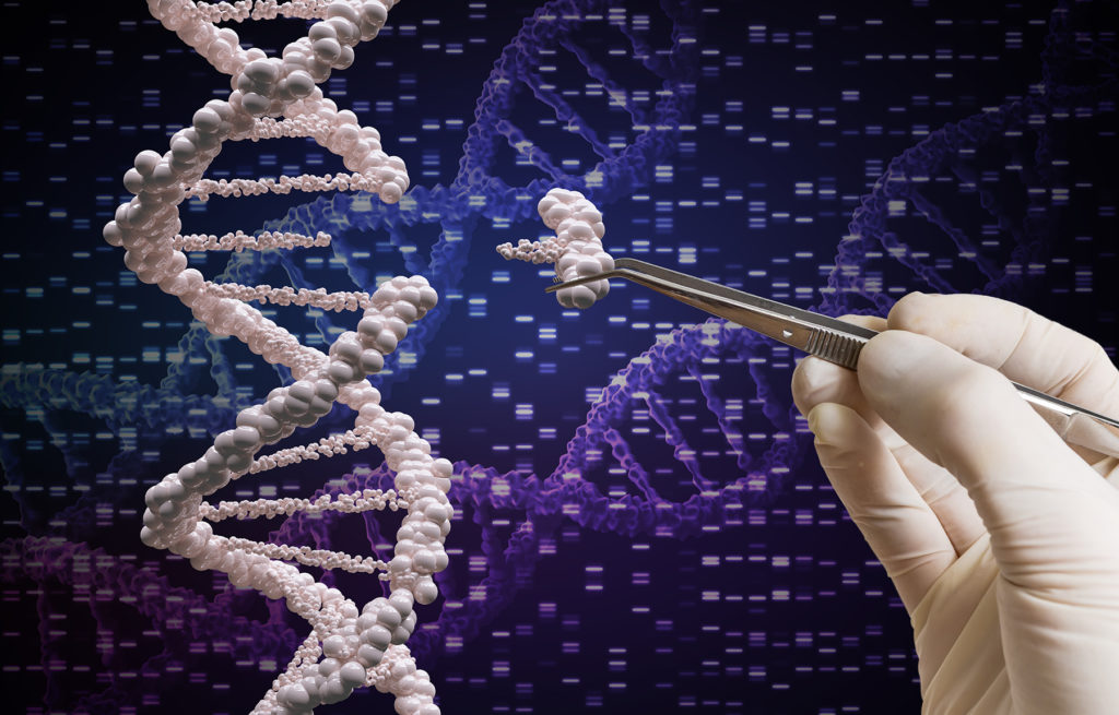 Genetic manipulation concept