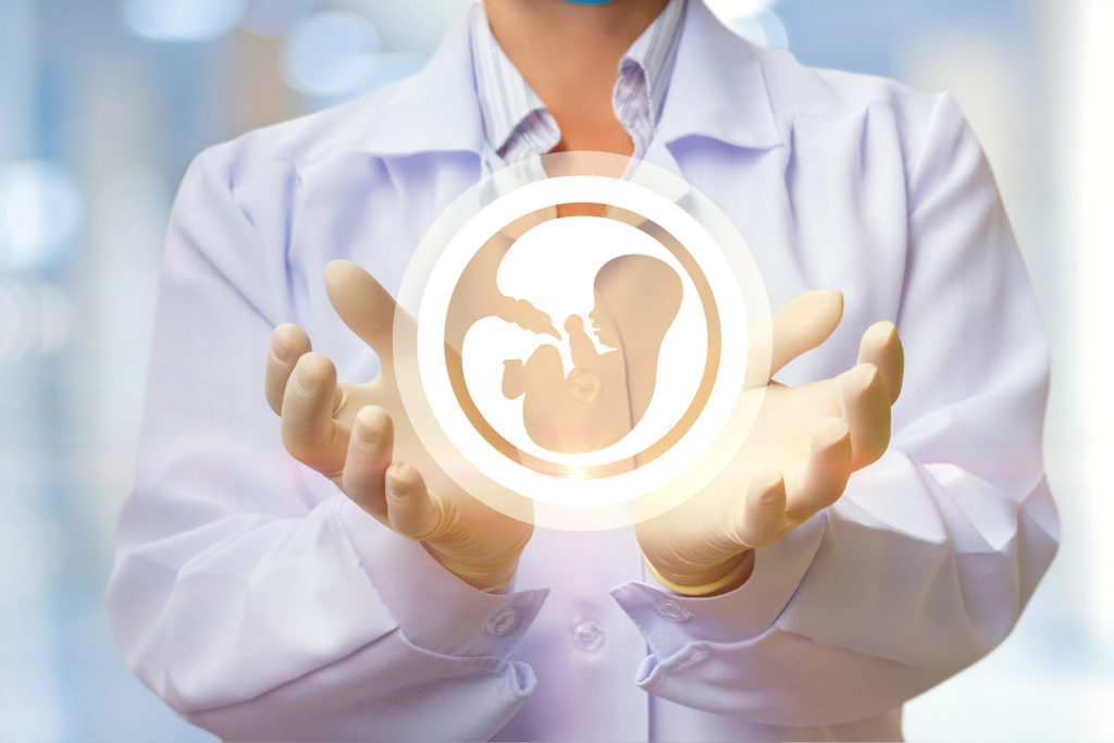 icon of the embryo in doctors hands