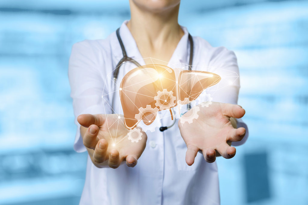 Digital concept of a healthy liver
