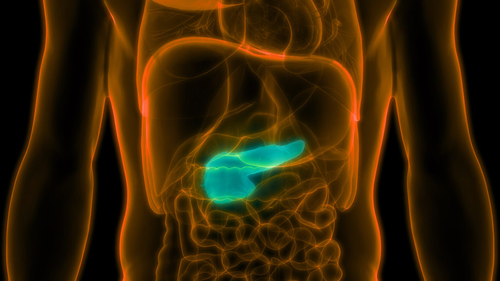 X ray view of the pancreas