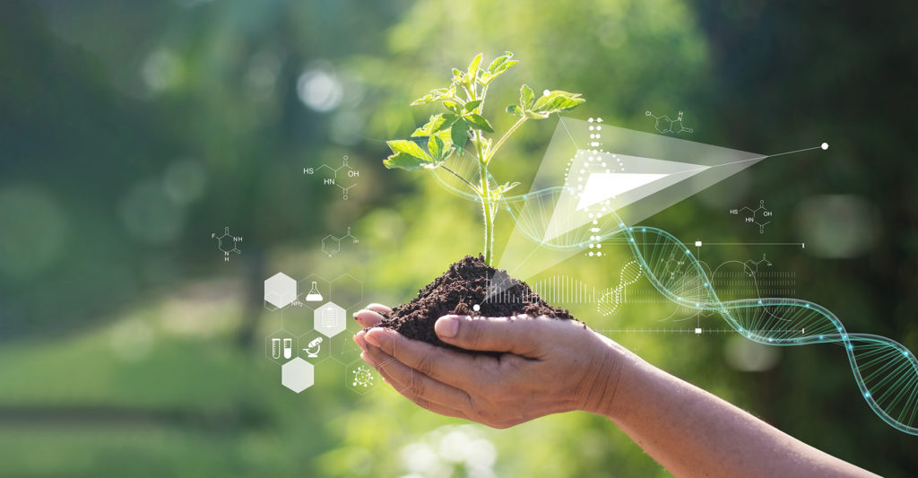 Hand holds plant with graphic of chemical compounds